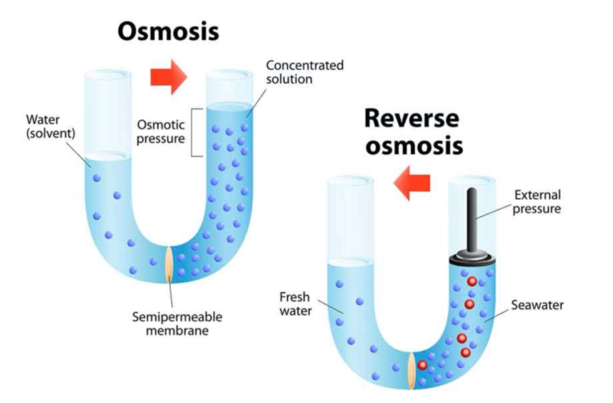 Introduccion-de-Osmosis-Inversa-1