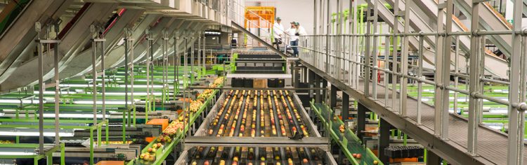 Procesado de lácteos y alimentos