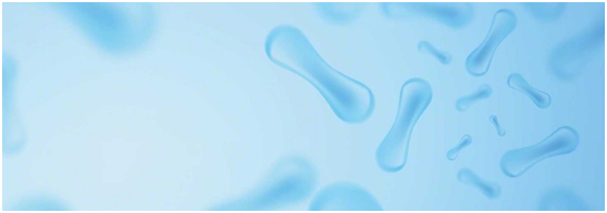 Cómo elegir los filtros de bolsas