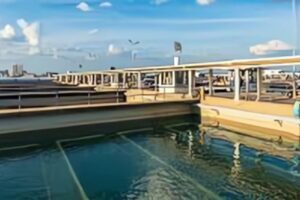 Bag-Filter-vs-Cartridge-Filter-in-Water-Treatment